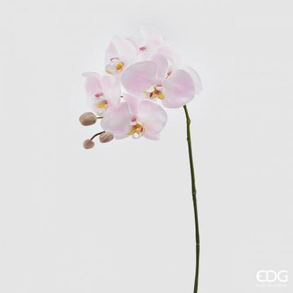 Květina Orchidej Phalaenopsis Ramo 74 cm, bílo/rúžová, EDG
