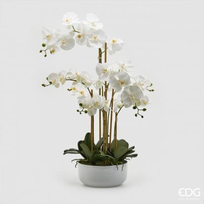 Květina Orchidej Real v květináči 84 cm, bílá