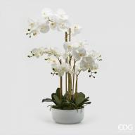 Květina Orchidej Real v květináči 84 cm, bílá